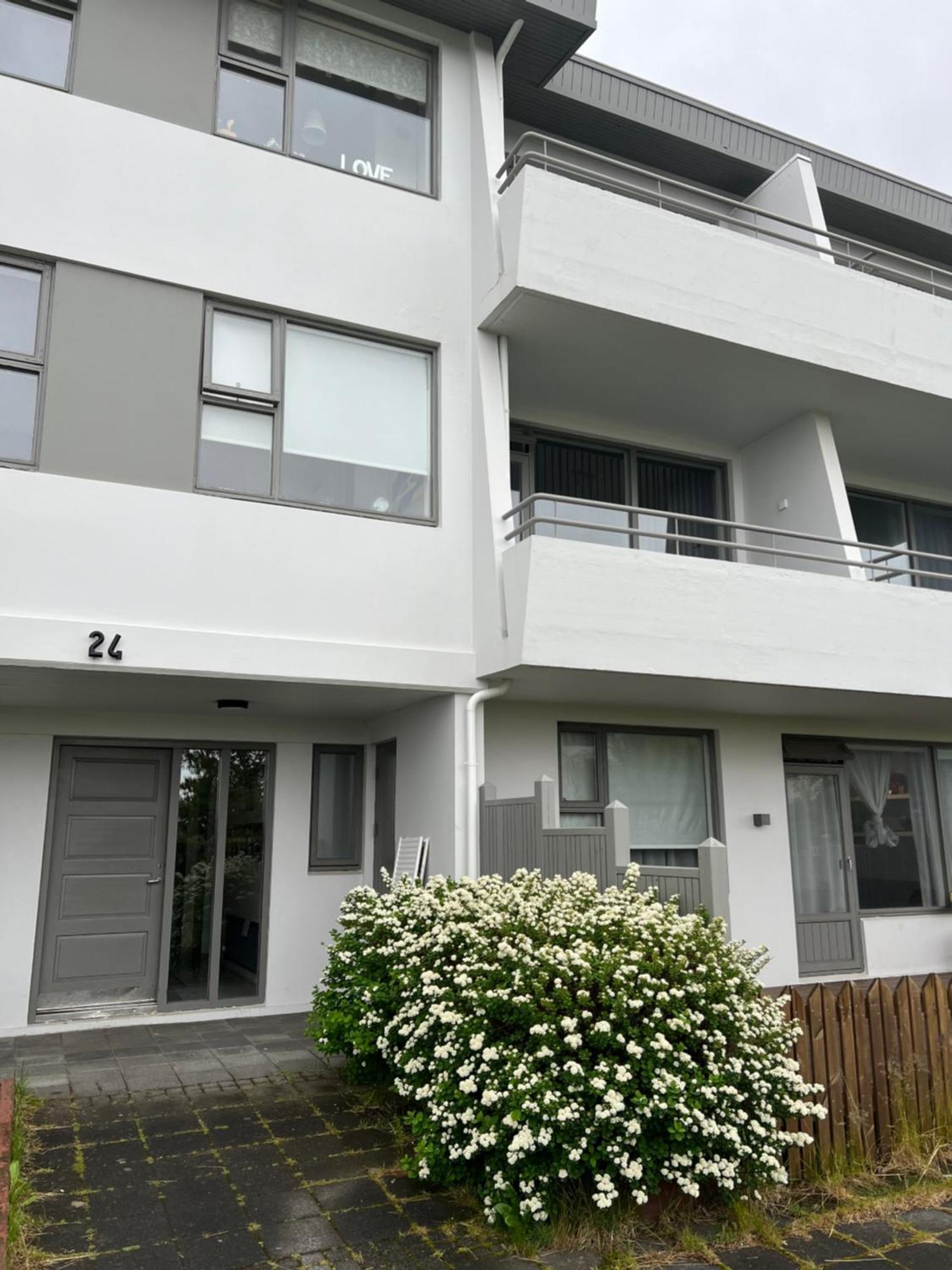 Viggsson Apartment Reykjavik Exterior photo