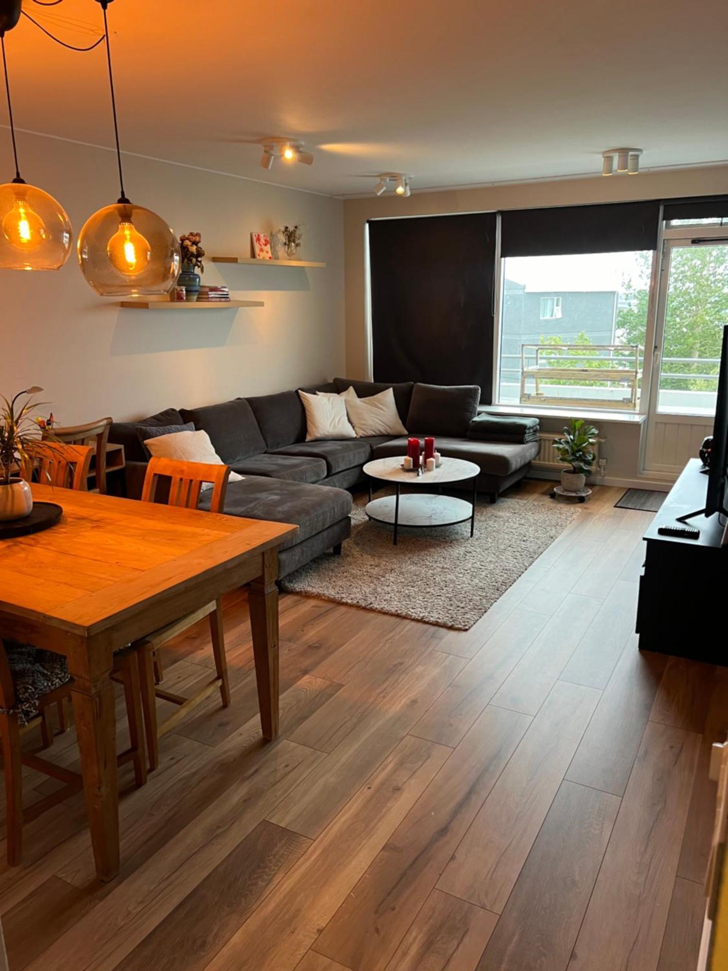 Viggsson Apartment Reykjavik Exterior photo